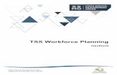 TSS Workforce Planning - dpac.tas.gov.au
