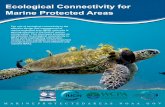 Ecological Connectivity for Marine Protected Areas