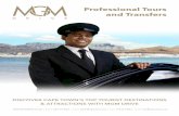 Professional Tours and Transfers