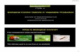 Biological Control Options in Vegetable Production