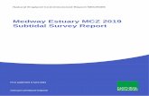 Medway Estuary MCZ 2019 Subtidal Survey Report