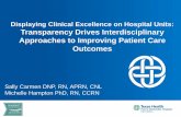 Displaying Clinical Excellence on Hospital Units ...