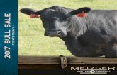 Welcome to Metzger Cattle Company, thank you for taking an ...