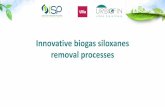 Innovative biogas siloxanes removal processes