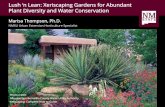 Lush ‘n Lean: Xeriscaping Gardens for Abundant Plant ...