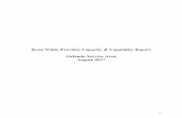 Ryan White Provider Capacity & Capability Report