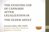 THE EVOLVING USE OF CANNABIS AFTER LEGALIZATION IN THE ...