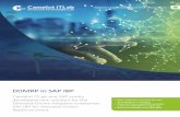 DDMRP in SAP IBP - Camelot ITLab