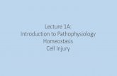 Lecture 1A: Introduction to Pathophysiology Homeostasis ...