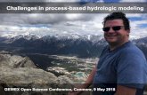 Challenges in process-based hydrologic modeling