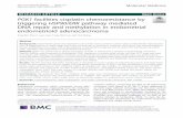 RESEARCH ARTICLE Open Access - Molecular Medicine