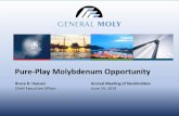 Pure-Play Molybdenum Opportunity - General Moly