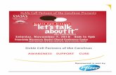 Sickle Cell Partners of the Carolinas AWARENESS SUPPORT CURE