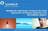 Multiphysics Simulation of Isoelectric Point Separation of ...