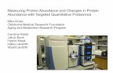 Measuring Protein Abundance and Changes in Protein ...