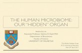 THE HUMAN MICROBIOME: OUR “HIDDEN” ORGAN