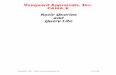 Vanguard Appraisals, Inc. CAMA-X Basic Queries and Query Lite
