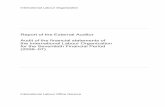 Report of the External Auditor Audit of the financial ...