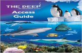 A Day at The Deep: Planning Your Visit