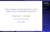 Object-image correspondence for curves under central and ...