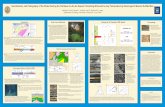 Geochemistry and Petrography of the Strata Hosting the ...