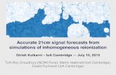 Accurate 21cm signal forecasts from simulations of ...