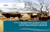 Land management practice trends in Western Australia s ...