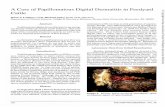 A Case of Papillon1atous Digital Dern1atitis in Feedyard ...