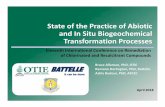 State of the Practice of Abiotic and Situ Biogeochemical ...