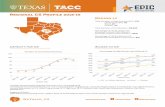 Regional CS Profile 2018-19 - HOME - Texas Advanced ...