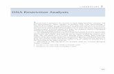 DNA Restriction Analysis - DNALC::Protocols
