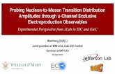 08/April/2020 Probing Nucleon-to-Meson Transition ...