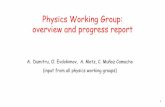 Physics Working Group: overview and progress report