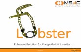 L bster - Multi Solutions 4 Companies