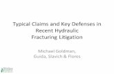 Typical Claims and Key Defenses in Recent Hydraulic ...