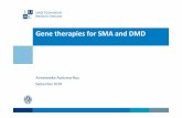 Gene therapies for SMA and DMD