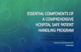 Essential components of a Comprehensive Hospital Safe ...