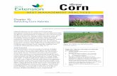Selecting Corn Hybrids - SDSU Extension