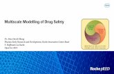 Multiscale Modelling of Drug Mechanism and Safety