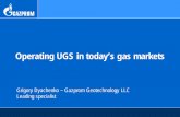 Operating UGS in today’s gas markets