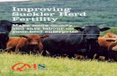 Improving Suckler Herd Fertility
