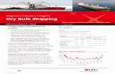 Regional Industry Insights Dry Bulk Shipping