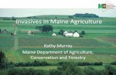 Invasives in Maine Agriculture