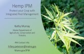 Hemp IPM Protect your Crop with Integrated Pest ... - Maine