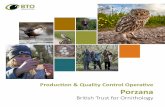 Production & Quality Control Operative Porzana