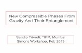 New Compressible Phases From Gravity And Their Entanglement