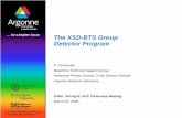 The XSD-BTS Group Detector Program