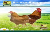 Rowan Ranger - Aviagen