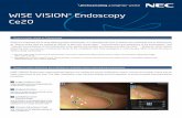WISE VISION® Endoscopy Ce20 - nec.com