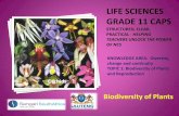 Life sciences Grade 11 CAPS structured, clear, practical ...